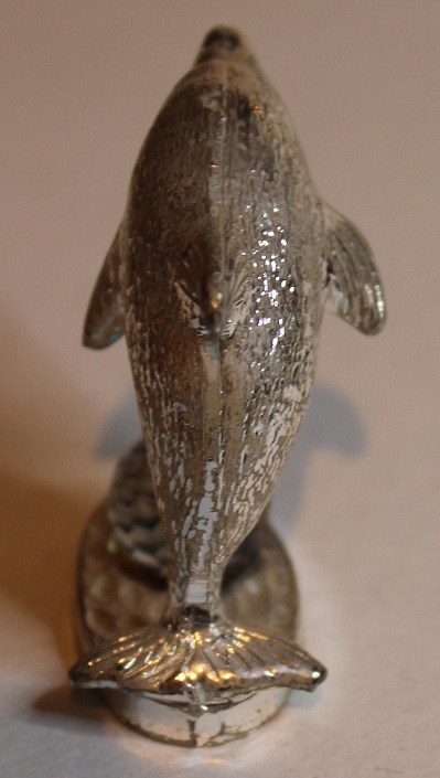 dolphin