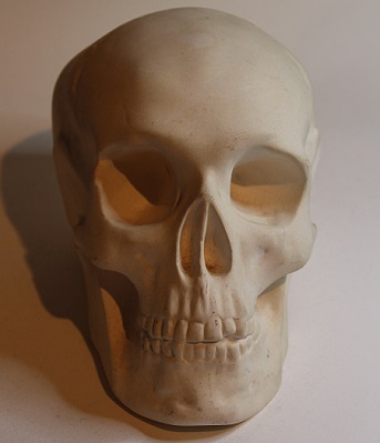 skull