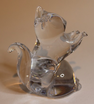 squirrel