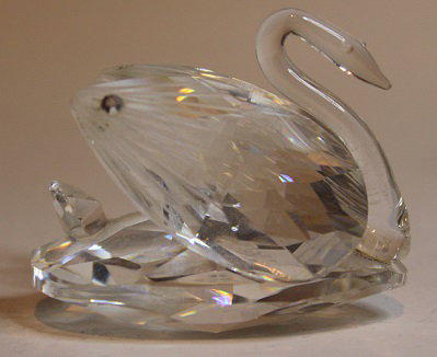 swan